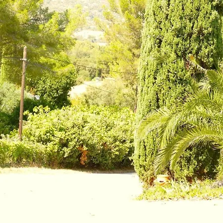 Les Bougainvilliers
